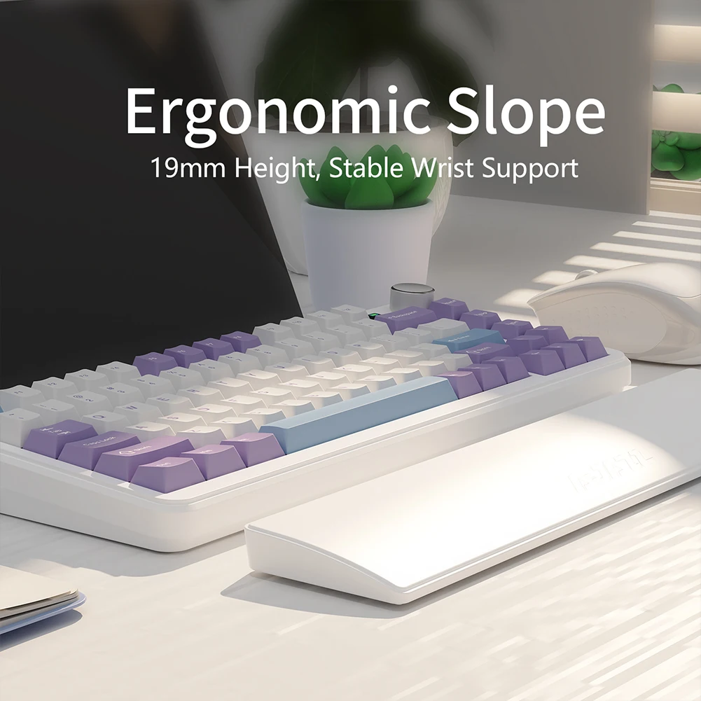 81 Keys Gaming Keyboard Wrist  - Wrist Rest Pad 리뷰 및 가격