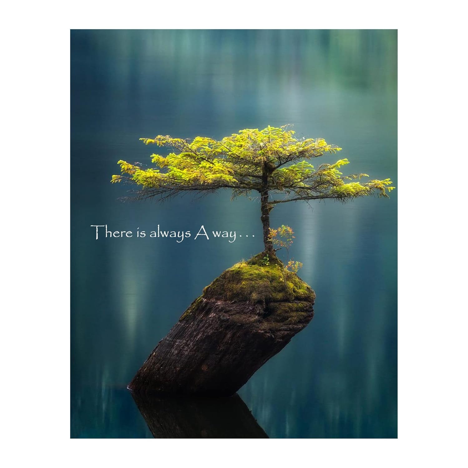 There Is Always A Way Inspirat - Home Office Quotes 리뷰 및 가격